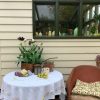 Clotted Cream (10) - Image 3