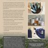 Linseed Paint and Oil book by Michiel Brouns - Image 2