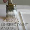 Linseed Paint and Oil book by Michiel Brouns